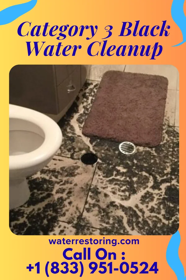 Category 3 Black Water Cleanup in Lawnside, NJ